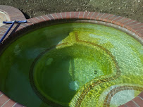 True Sky Blue Pool Service - Photo 5 - Car repair in , Riverside