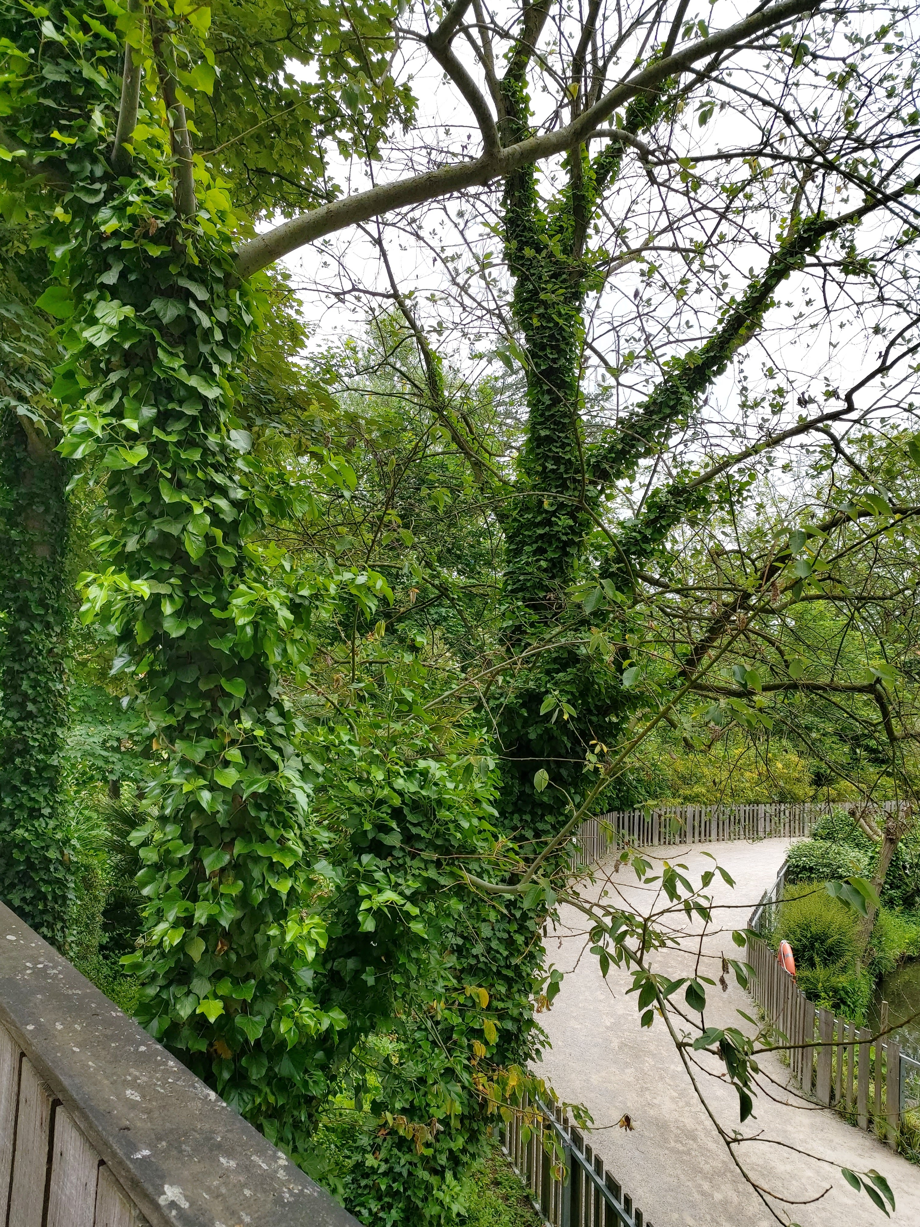 Photo n° 17 de l'avis de DJ.i fait le 12/06/2021 à 15:42