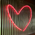 Photo n°2 de l'avis de SeT. fait le 05/04/2024 à 10:46 sur le  Pizzikotto Torino à Turin