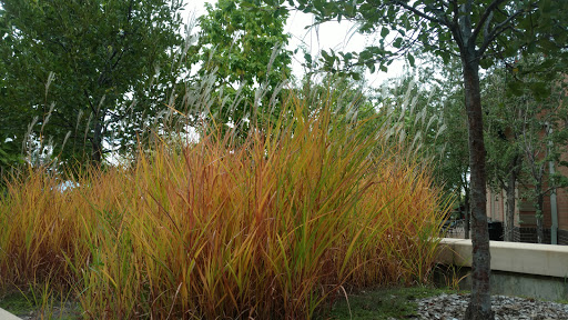 Recreation Center «Douglas H Buck Community Recreation Center», reviews and photos, 2004 W Powers Ave, Littleton, CO 80120, USA