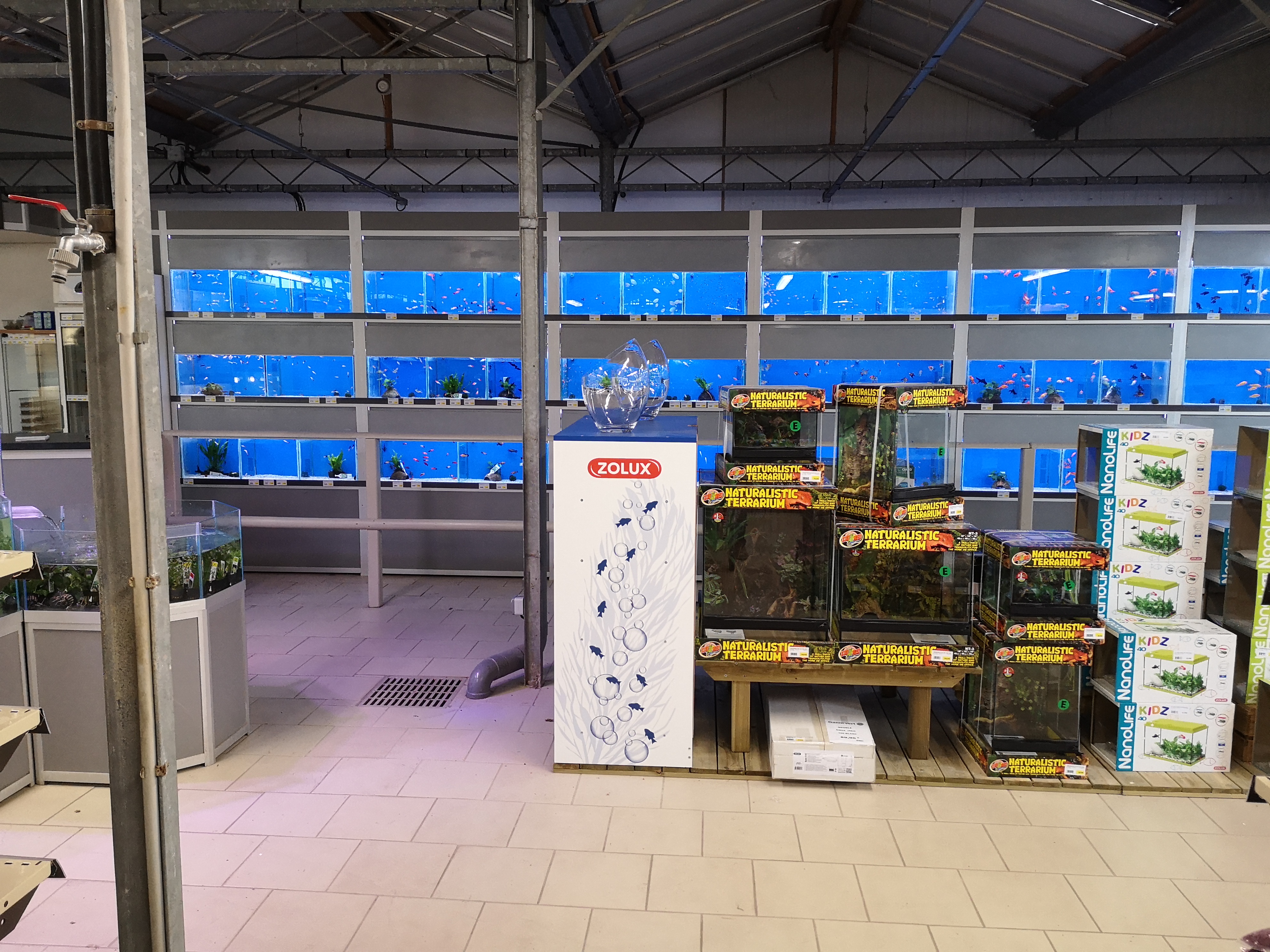 Photo n° 4 de l'avis de thierry.u fait le 02/09/2017 à 09:37