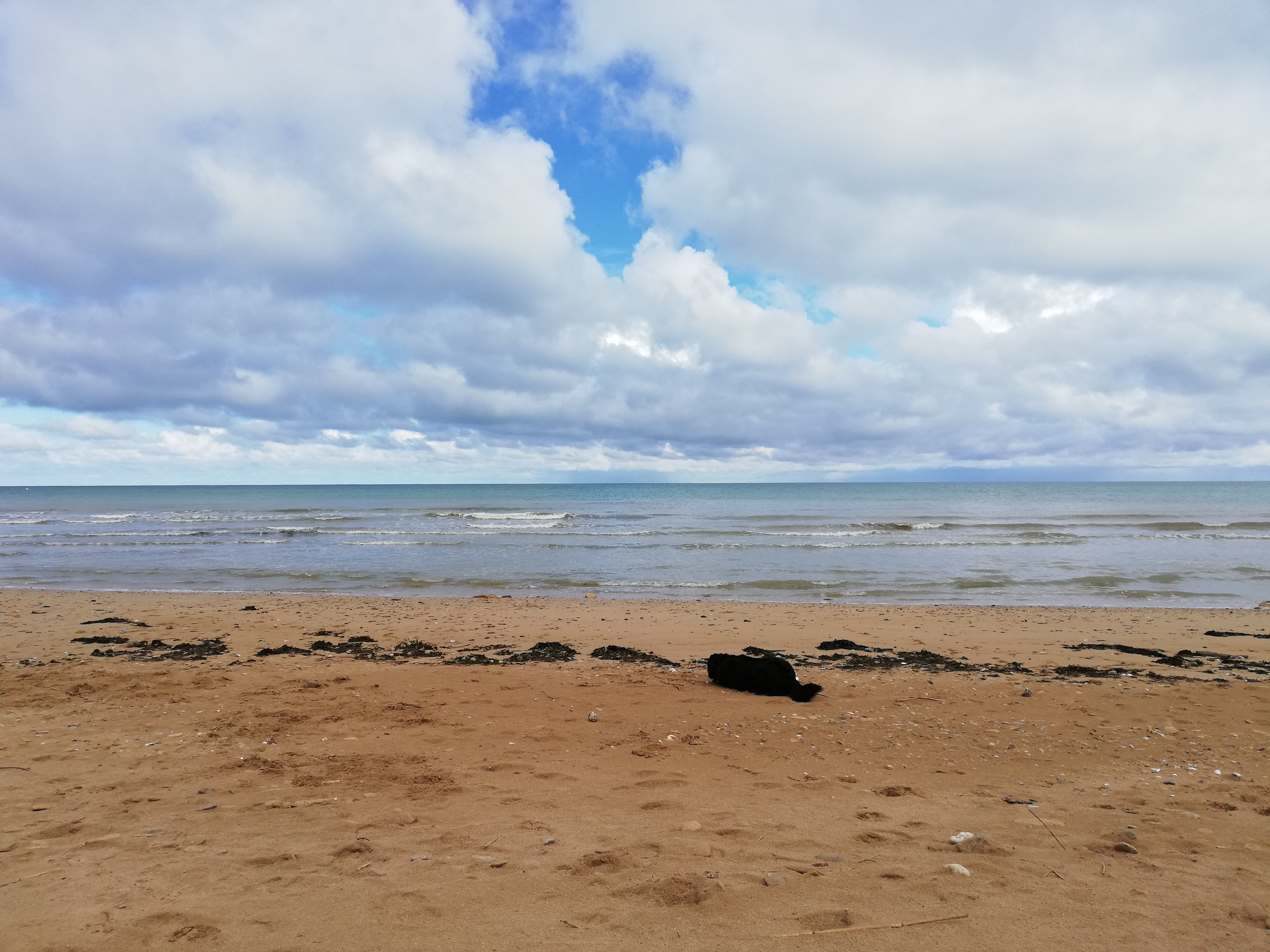 Photo n° 1 de l'avis de Bey.i fait le 16/04/2019 à 15:31