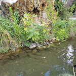 Photo n°3 de l'avis de Francisco.a fait le 15/08/2019 à 18:19 sur le  Corte Contarina à Venice