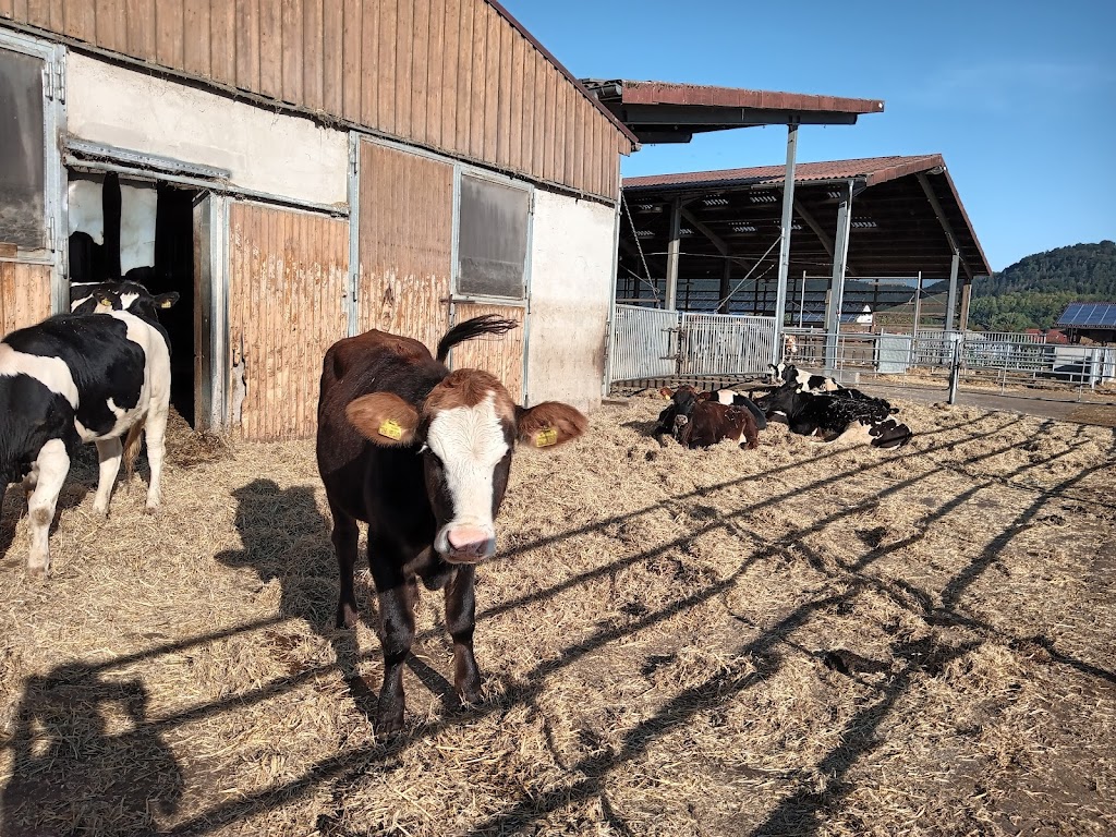 LVV-Ökozentrum Werratal/Thüringen Betriebs GmbH Vachdorf