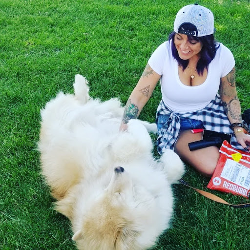 Courier Service «Your Courier Service LLC», reviews and photos, 706 Zion Dr, Colorado Springs, CO 80910, USA