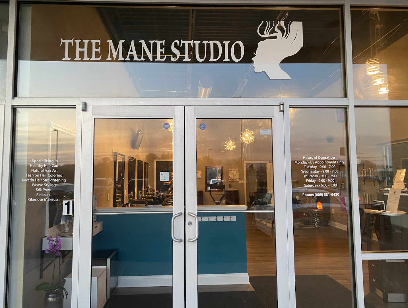 the mane studio llc