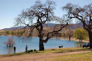 Brite Lake - photo 14