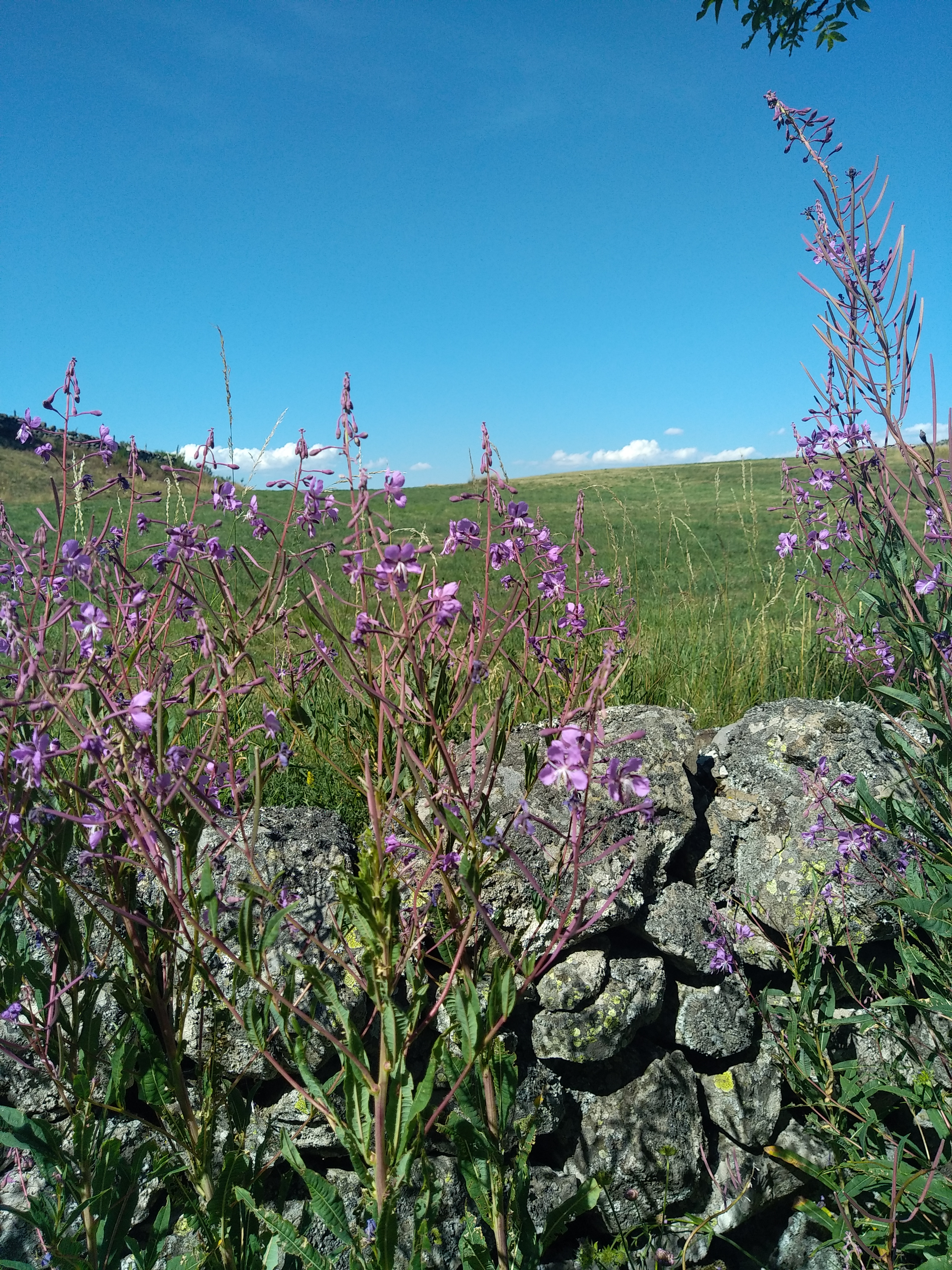Photo n° 29 de l'avis de Julien.a fait le 14/07/2022 à 19:44