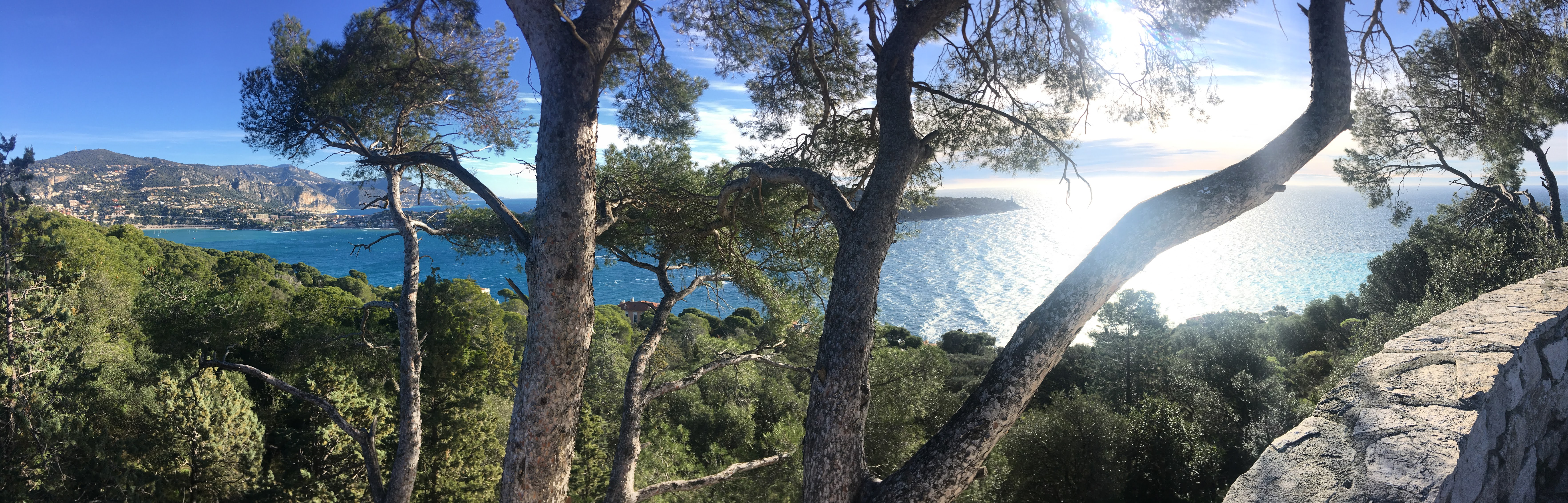 Photo n° 1 de l'avis de brigitte.o fait le 23/03/2021 à 17:59