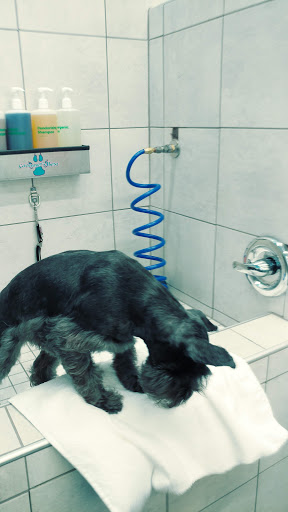 Pet Supply Store «Pet Supplies Plus», reviews and photos, 1377 N 21st St, Newark, OH 43055, USA