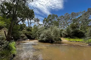 Cobbledick's Ford Streamside Reserve image