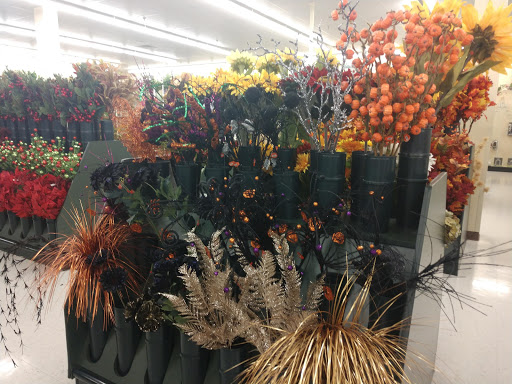 Shopping Mall «Northland Plaza Shopping Ctr», reviews and photos, 2500 Sycamore Rd, DeKalb, IL 60115, USA