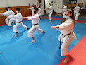 Nihon Karate Do