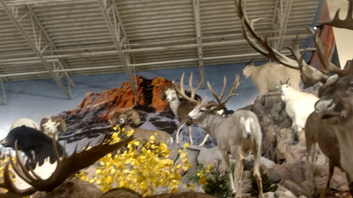 Outdoor Sports Store «Field & Stream», reviews and photos, 3851 Chapel Ln, Hoover, AL 35244, USA