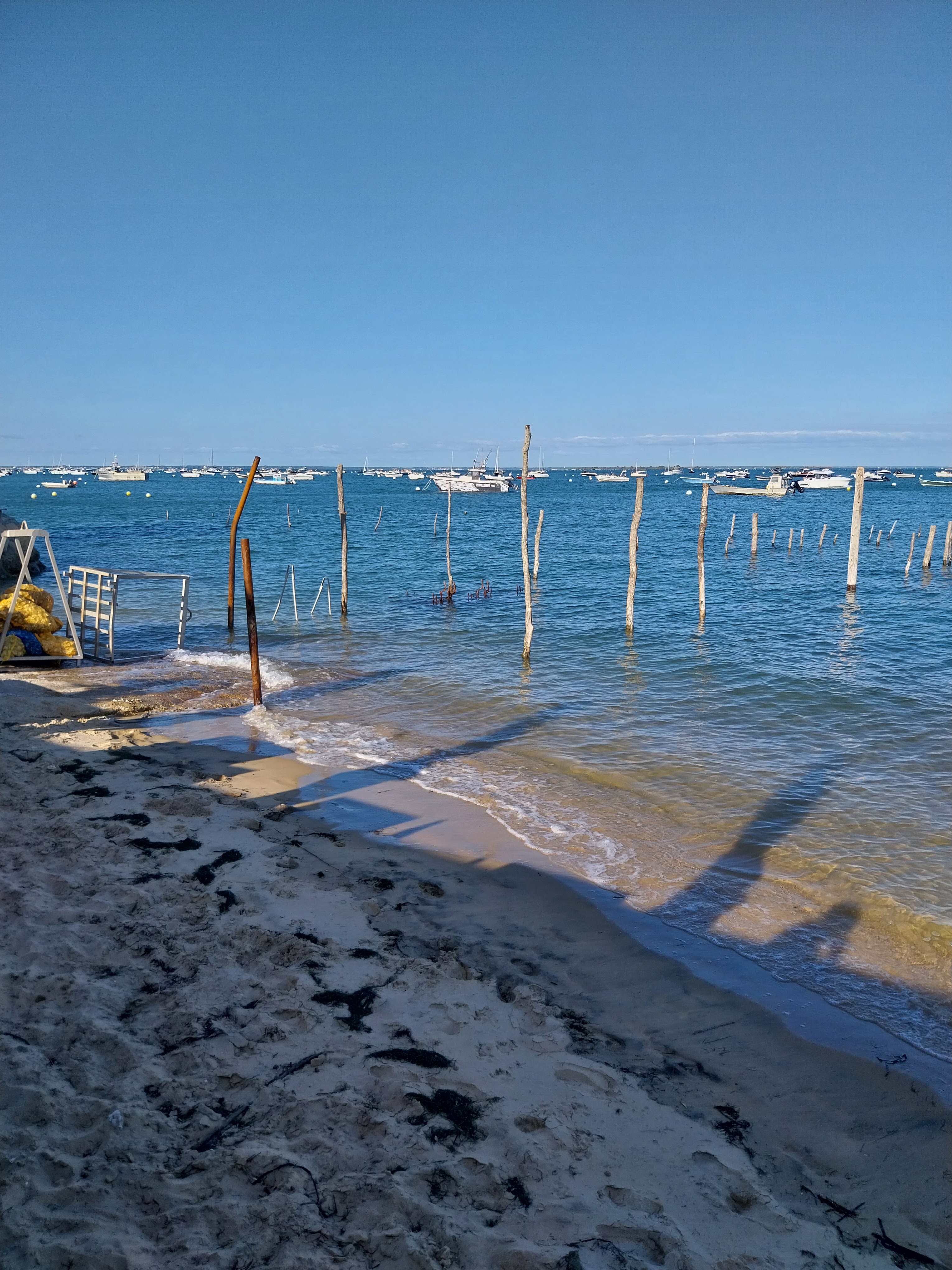Photo n° 7 de l'avis de jean.a fait le 21/07/2023 à 16:54