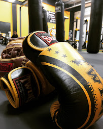 Rhino Elite Fitness Studio - Photo 4 - Car repair in Visalia, CA, Visalia