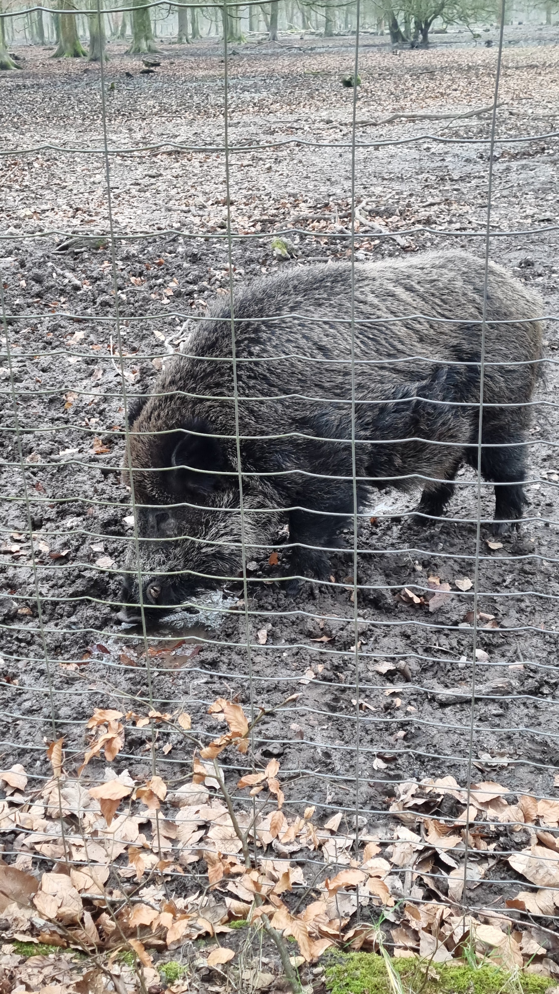 Photo n° 1 de l'avis de Boulart.n fait le 09/02/2022 à 16:21