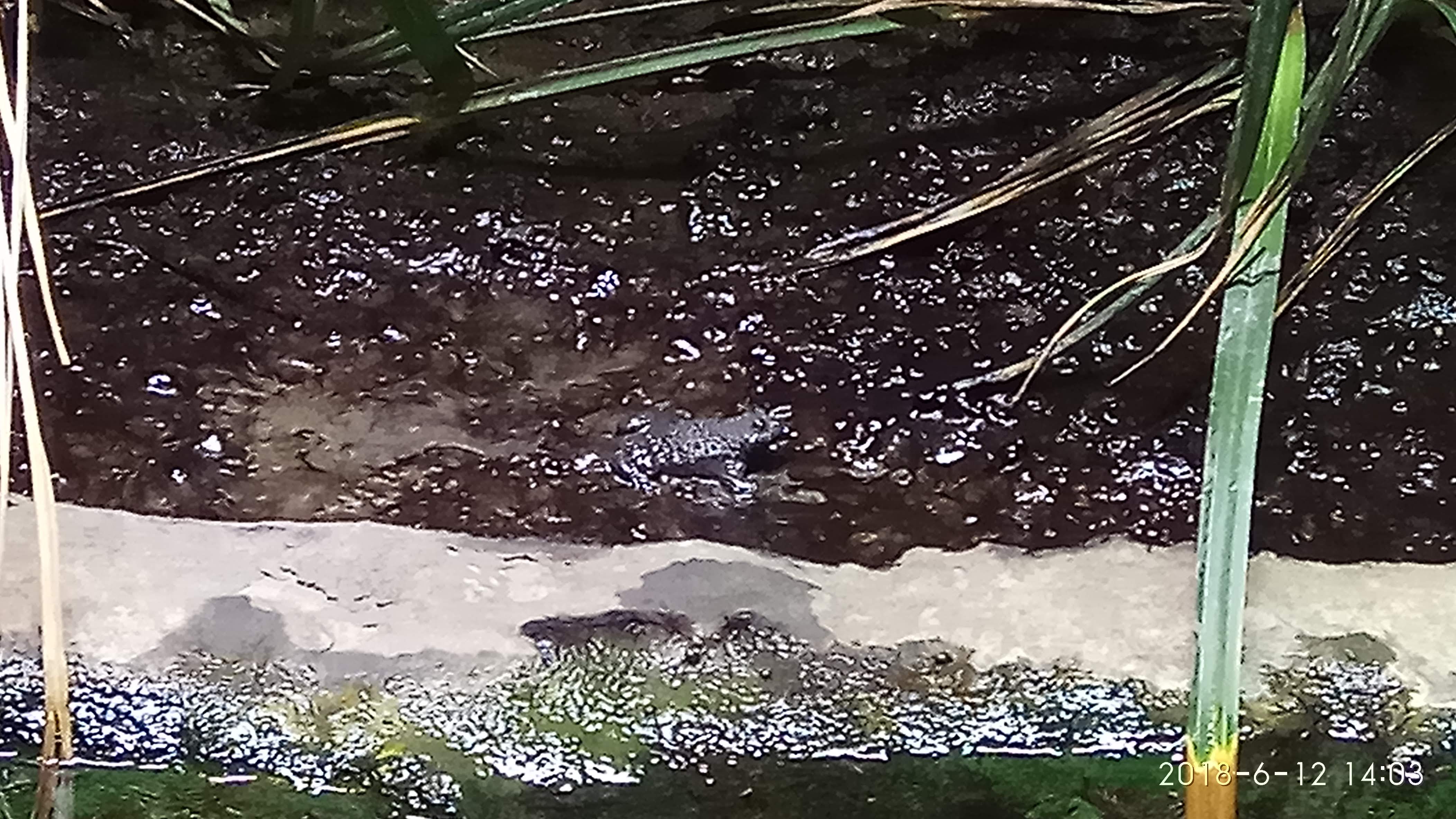 Photo n° 14 de l'avis de Swiss.e fait le 15/06/2018 à 19:24