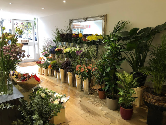 Reviews of The Bloom in London - Florist