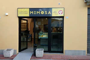 Bar Mimosa image
