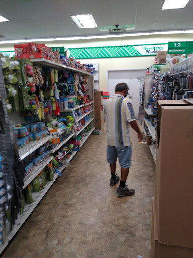 Dollar Store «Dollar Tree», reviews and photos, 9055 Biscayne Blvd, Miami Shores, FL 33138, USA