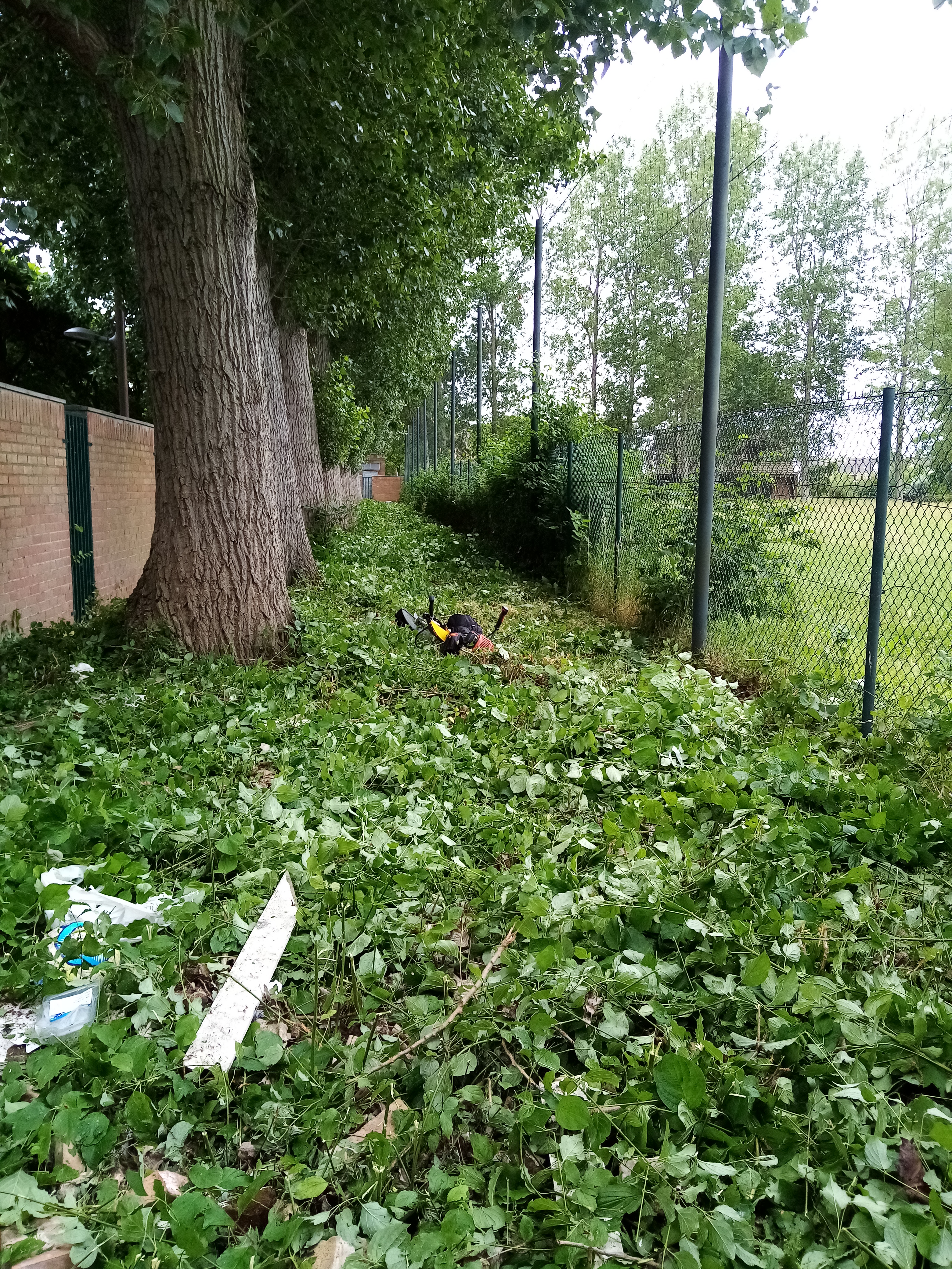 Photo n° 1 de l'avis de gerard.e fait le 09/01/2023 à 15:18