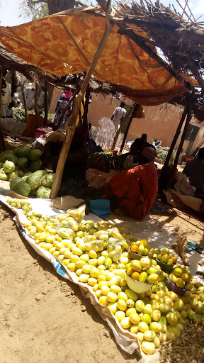 Maiadua International Market, Katsina, Nigeria, Market, state Katsina