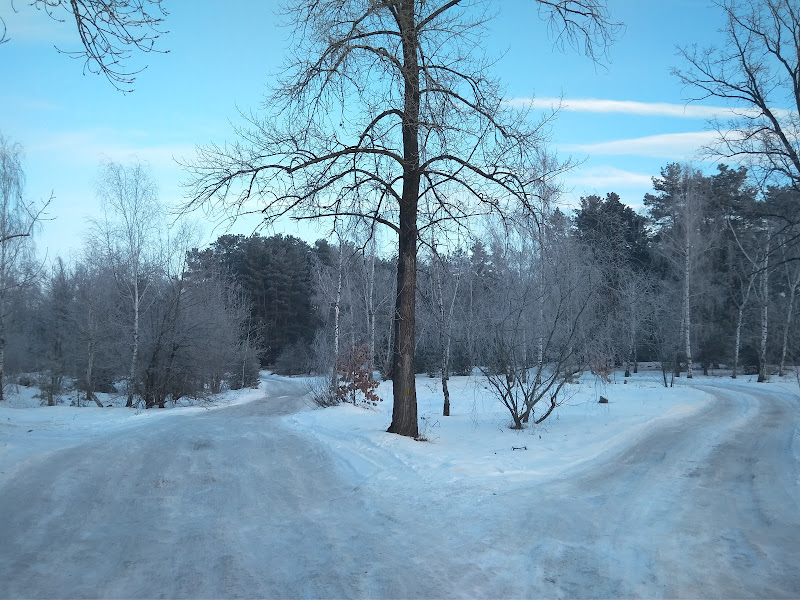 Затишна атмосфера всередині