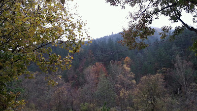 Arrêt du Saut du Loup à Barrême