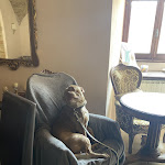 Photo n°1 de l'avis de Catie.u fait le 07/06/2023 à 12:28 sur le  HOTEL TREVI à Trevi