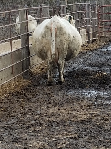 Car Racing Track «Hawkeye Downs», reviews and photos, 4400 6th St SW, Cedar Rapids, IA 52404, USA