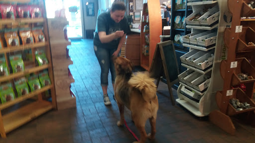 Pet Supply Store «Appalachian Tails Pet Company», reviews and photos, 119 Griswold St, Glastonbury, CT 06033, USA
