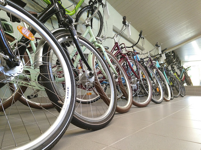 Rezensionen über Tessiner Fahrradhof in Mendrisio - Fahrradgeschäft