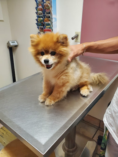 1432 S Belcher Rd, Clearwater, FL 33764, USA