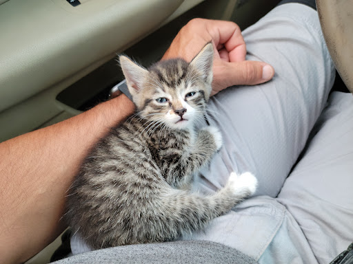 Barber Shop «Southland Barber Styling Shop», reviews and photos, 983 W State Rd 84, Fort Lauderdale, FL 33315, USA