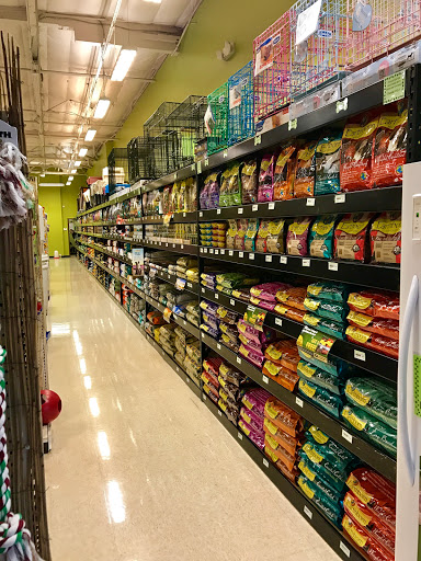 Pet Supply Store «Pet Club S Avondale», reviews and photos, 11435 W Buckeye Rd a106, Avondale, AZ 85323, USA