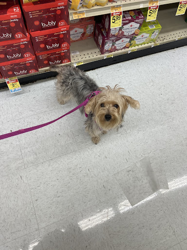 Doggy Styles (Grooming & Boarding)