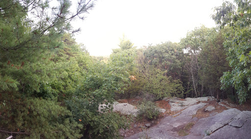 State Park «Wilson Mountain Reservation», reviews and photos, 384 Common St, Dedham, MA 02026, USA