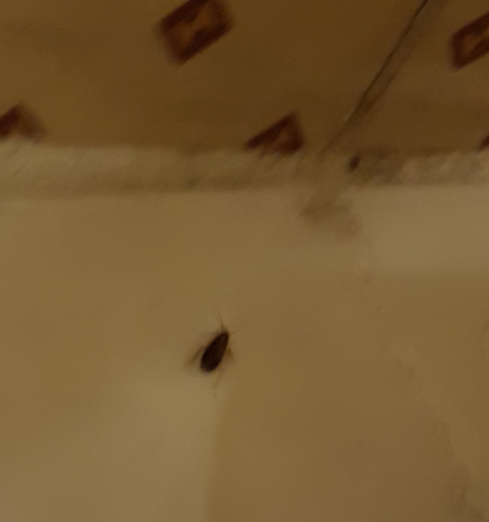 Photo n° 1 de l'avis de Marie.e fait le 30/11/2018 à 18:12