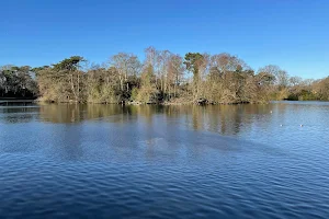 Hartsholme Lake image