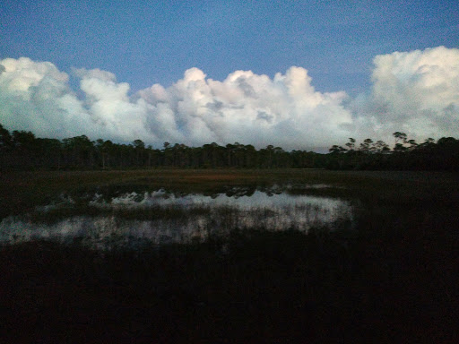 Nature Preserve «Cypress Creek Natural Area», reviews and photos, 10035 W Indiantown Rd, Jupiter, FL 33478, USA