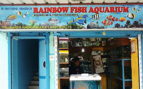 Rainbow Fish Aquarium || Best Aquarium Shop In Kolkata image
