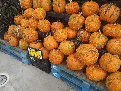 Grocery Store «Ralphs», reviews and photos, 1666 Rosecrans St, San Diego, CA 92106, USA