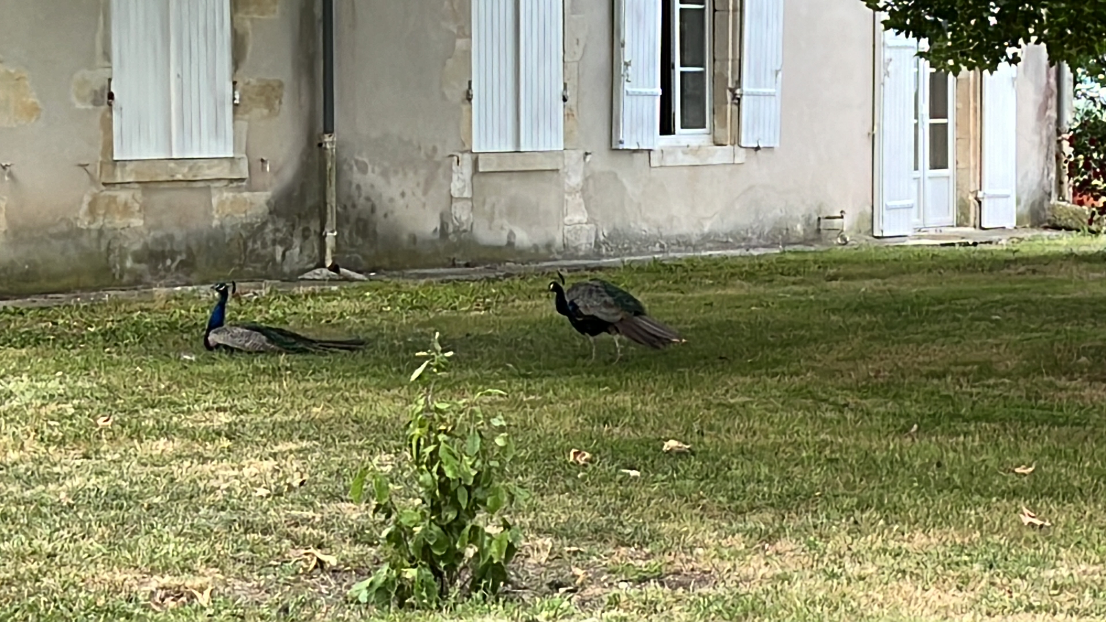 Photo n° 1 de l'avis de Vinay.a fait le 17/07/2023 à 12:47