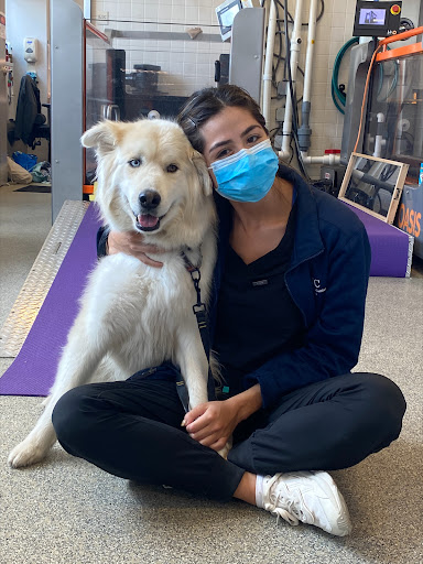 The Schwarzman Animal Medical Center