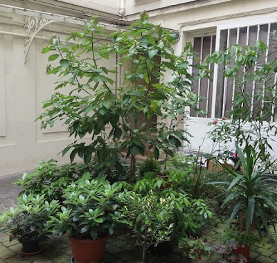École de psychanalyse Réseau pour la Psychanalyse à l'Hôpital (RPH) à Paris