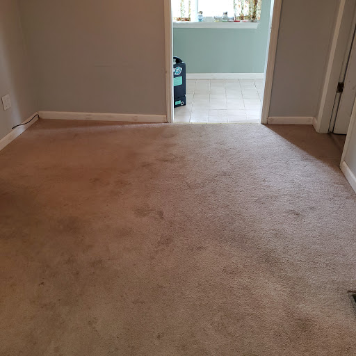 JLee's Carpet & Floor Cleaning - St Louis Area Carpet Cleaners