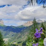 Photo n°2 de l'avis de Eugenio.r fait le 26/07/2023 à 17:30 sur le  Baita Locia De Contrin à Canazei