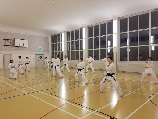 Kim Dojo Shotokan Karate Klub