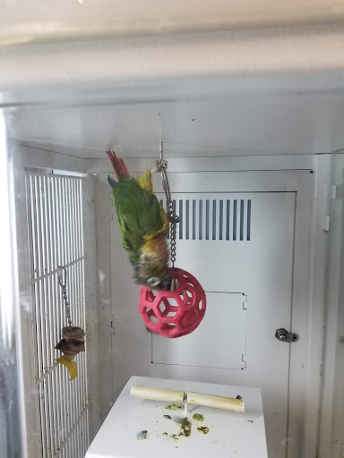 Pet Supply Store «Petco Animal Supplies», reviews and photos, 2824 Long Beach Rd, Oceanside, NY 11572, USA